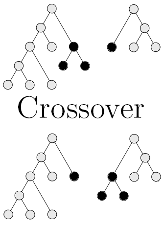 Function tree crossover