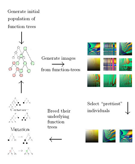 Evolution of images